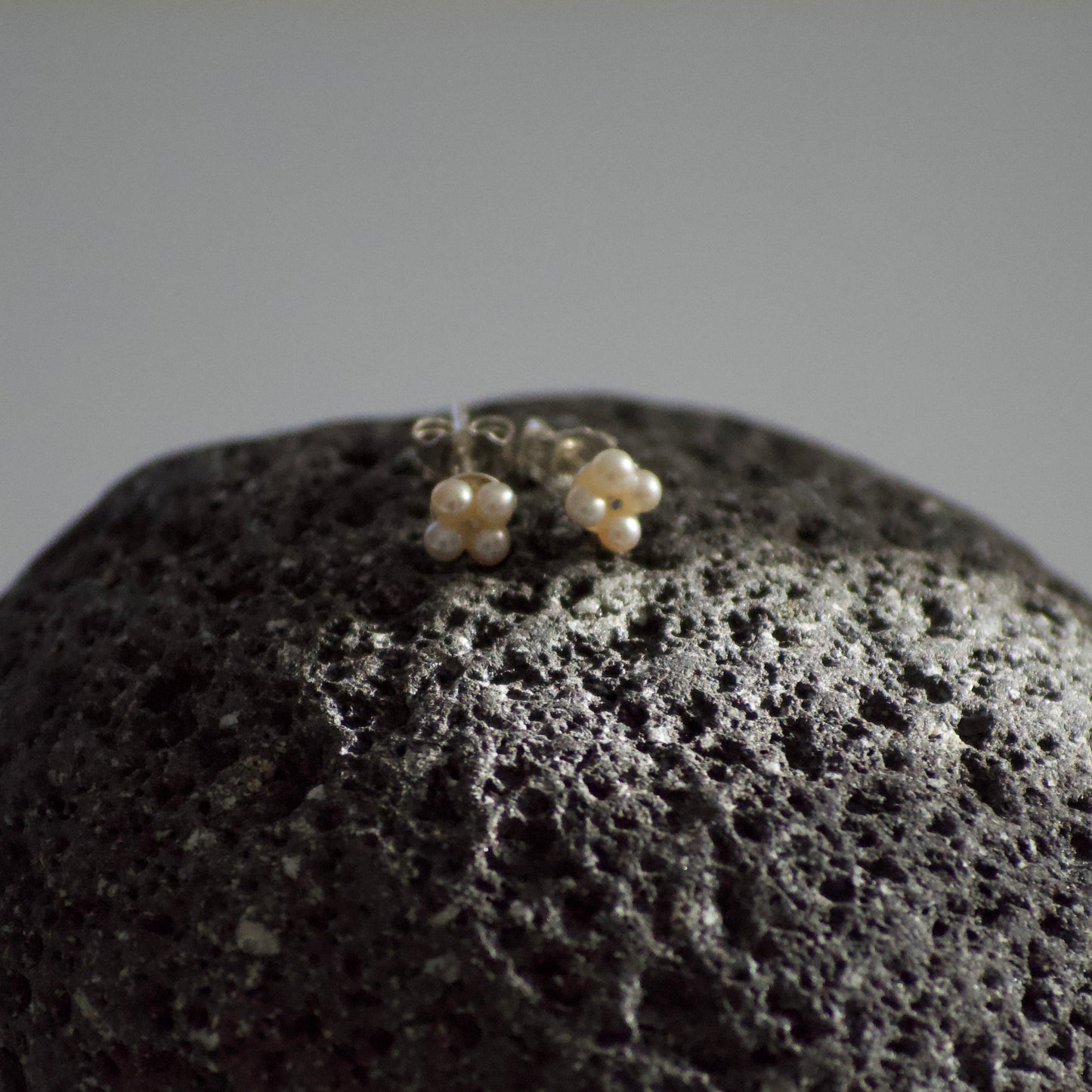 Venulus