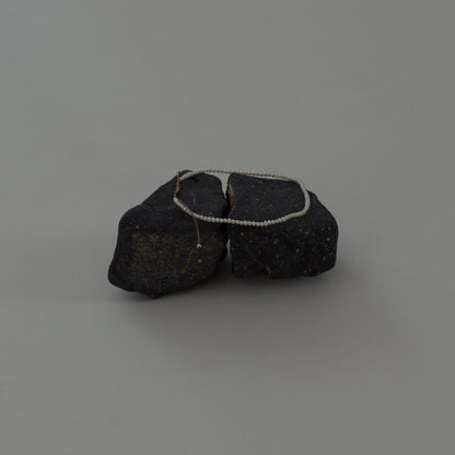 Pitarchia